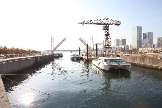 IMG_1551.JPG
